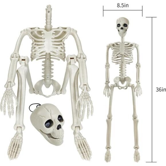 Halloween Skeleton Decorations,36" Posable Human Skeleton Decorations - Picture 2 of 8